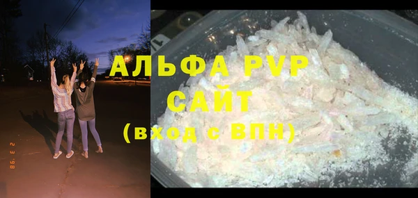 сатива Арсеньев
