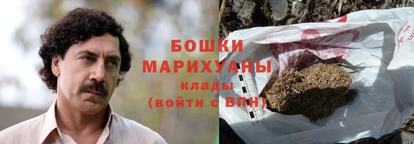 сатива Арсеньев