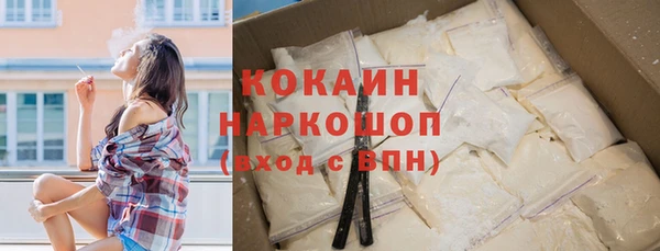 сатива Арсеньев