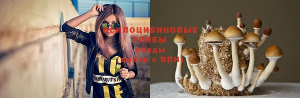 винт Аркадак