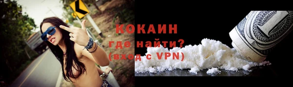 сатива Арсеньев