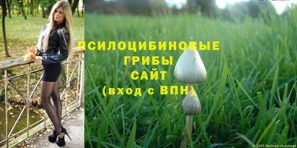 винт Аркадак