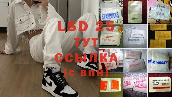 сатива Арсеньев