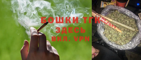 сатива Арсеньев