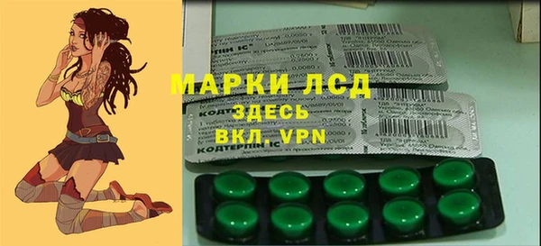 сатива Арсеньев