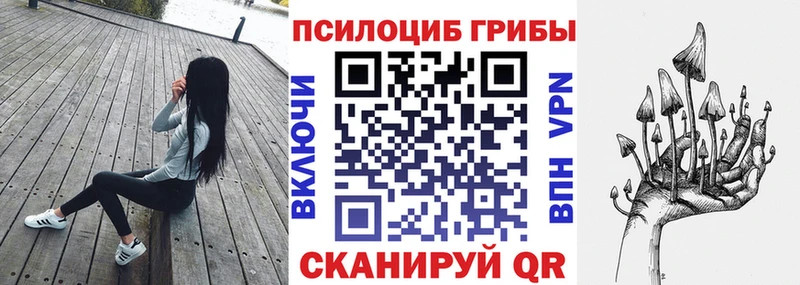 Галлюциногенные грибы Cubensis  Сольвычегодск 